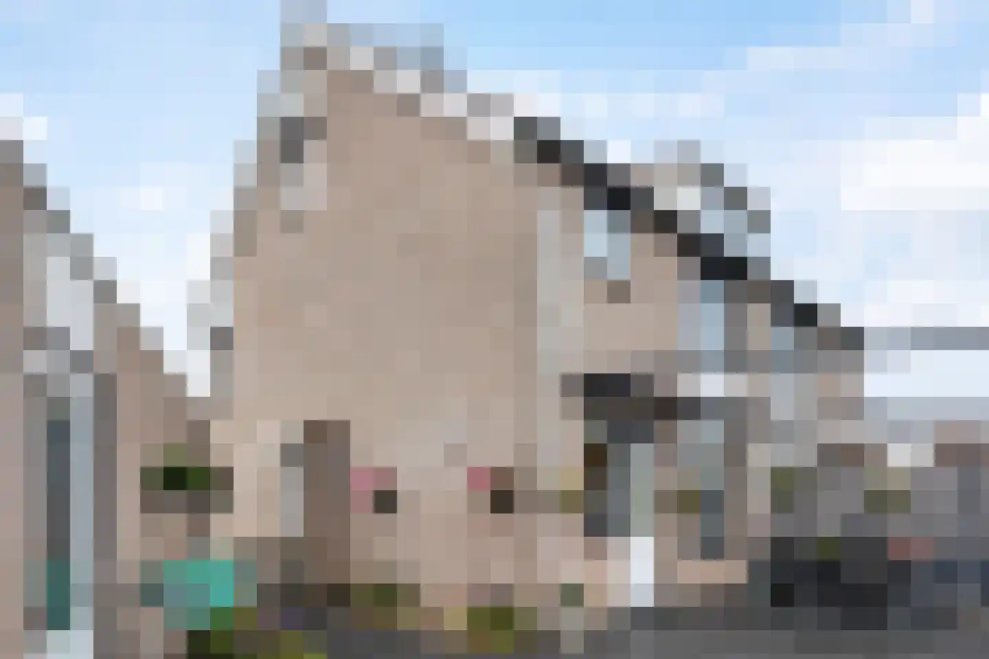 Rozebottellaan 19 Apeldoorn thumbnail 32