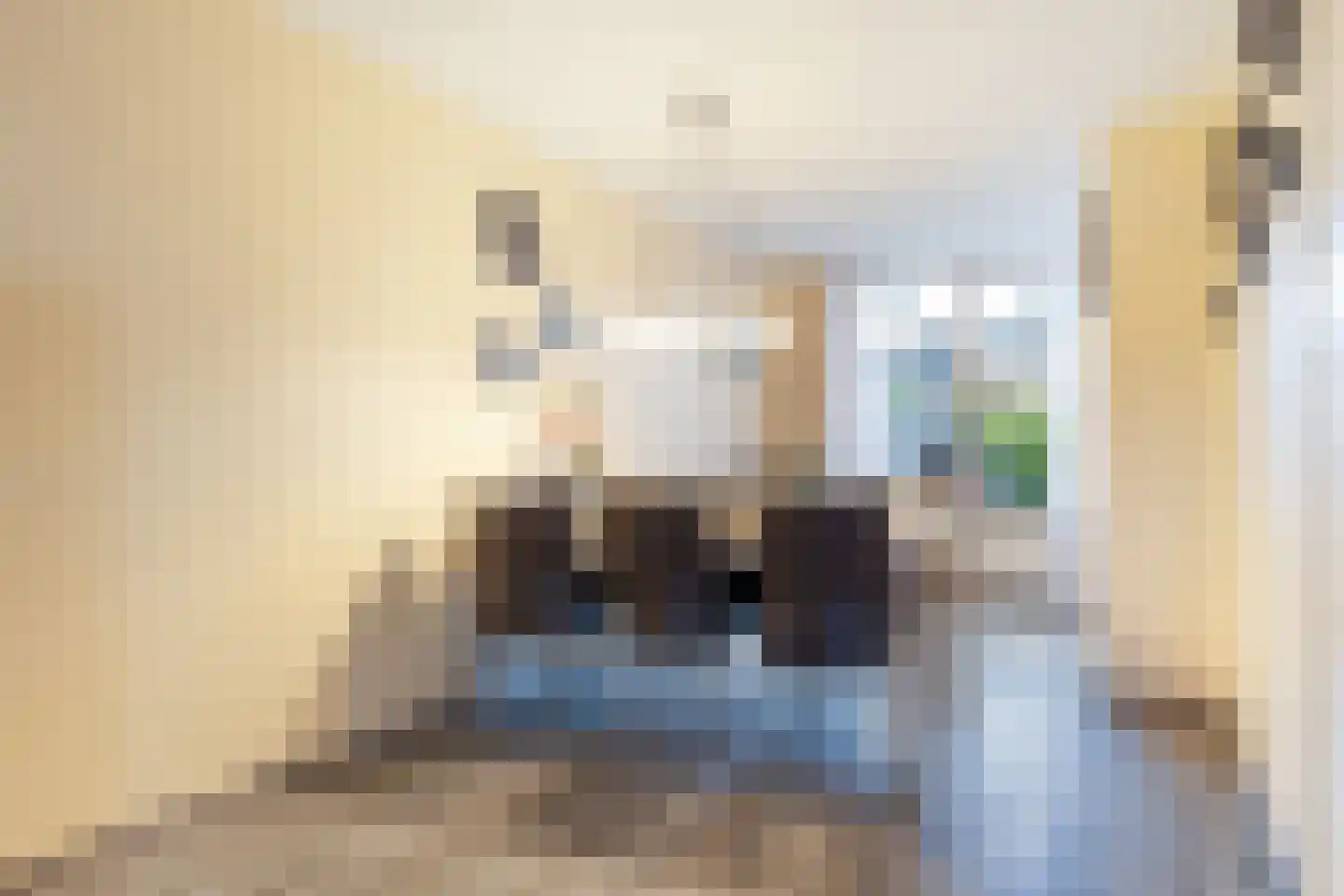 Rozebottellaan 19 Apeldoorn thumbnail 9