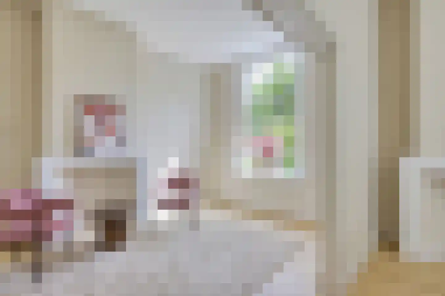 Rozegaarderweg 1 Hummelo thumbnail 15