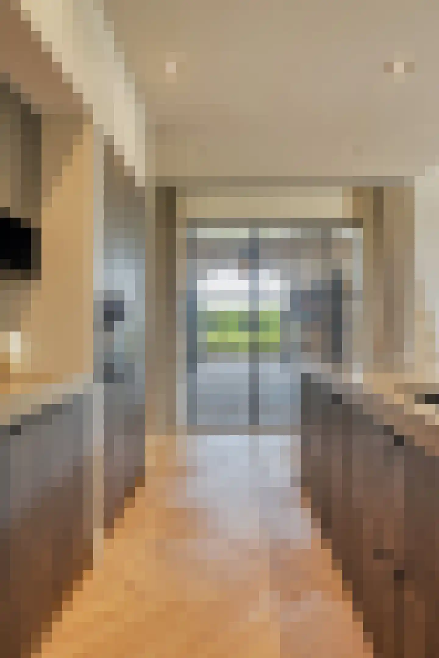 Rozegaarderweg 1 Hummelo thumbnail 19