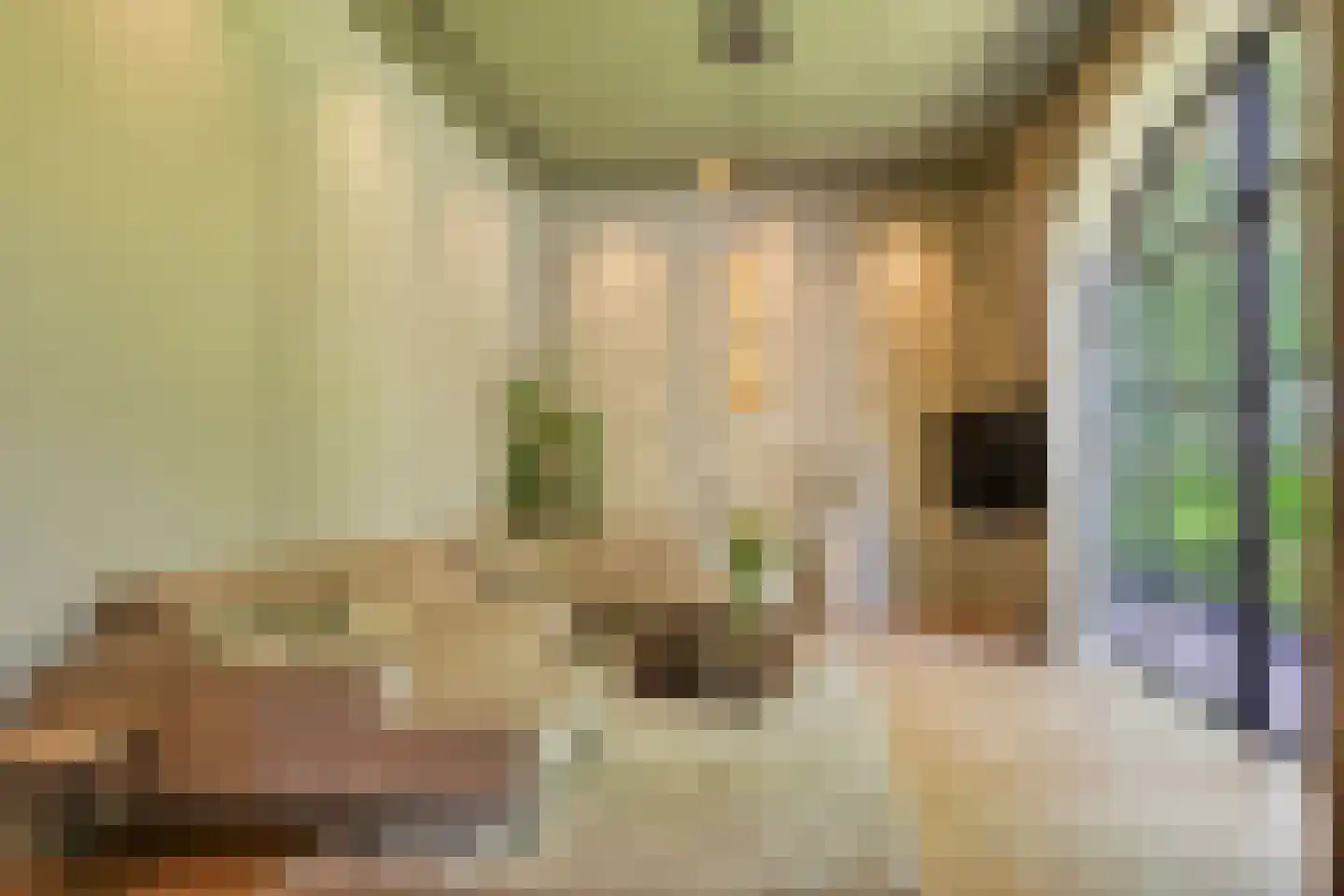Rozegaarderweg 1 Hummelo thumbnail 28