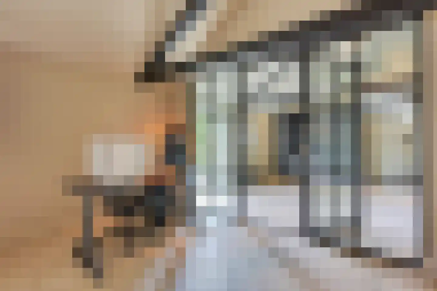 Rozegaarderweg 1 Hummelo thumbnail 50