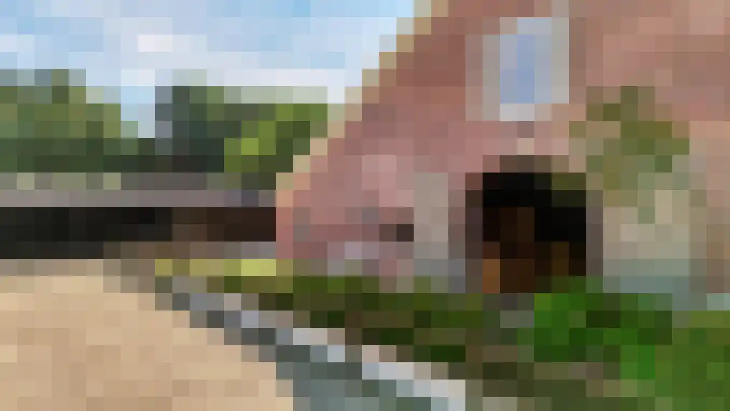 Rozegaarderweg 1 Hummelo thumbnail 59