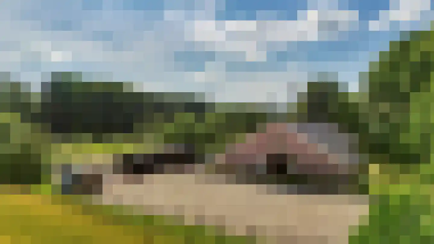Rozegaarderweg 1 Hummelo thumbnail 60