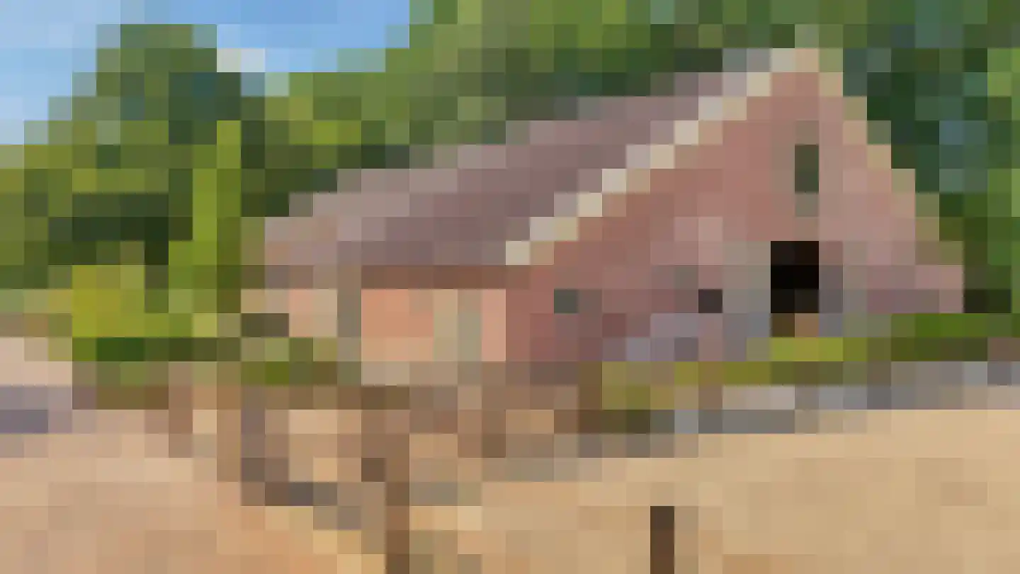Rozegaarderweg 1 Hummelo thumbnail 62