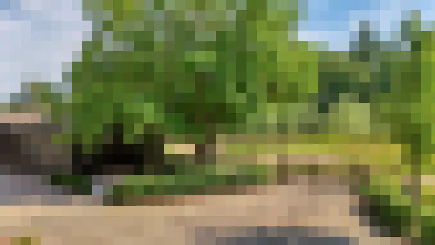 Rozegaarderweg 1 Hummelo thumbnail 67