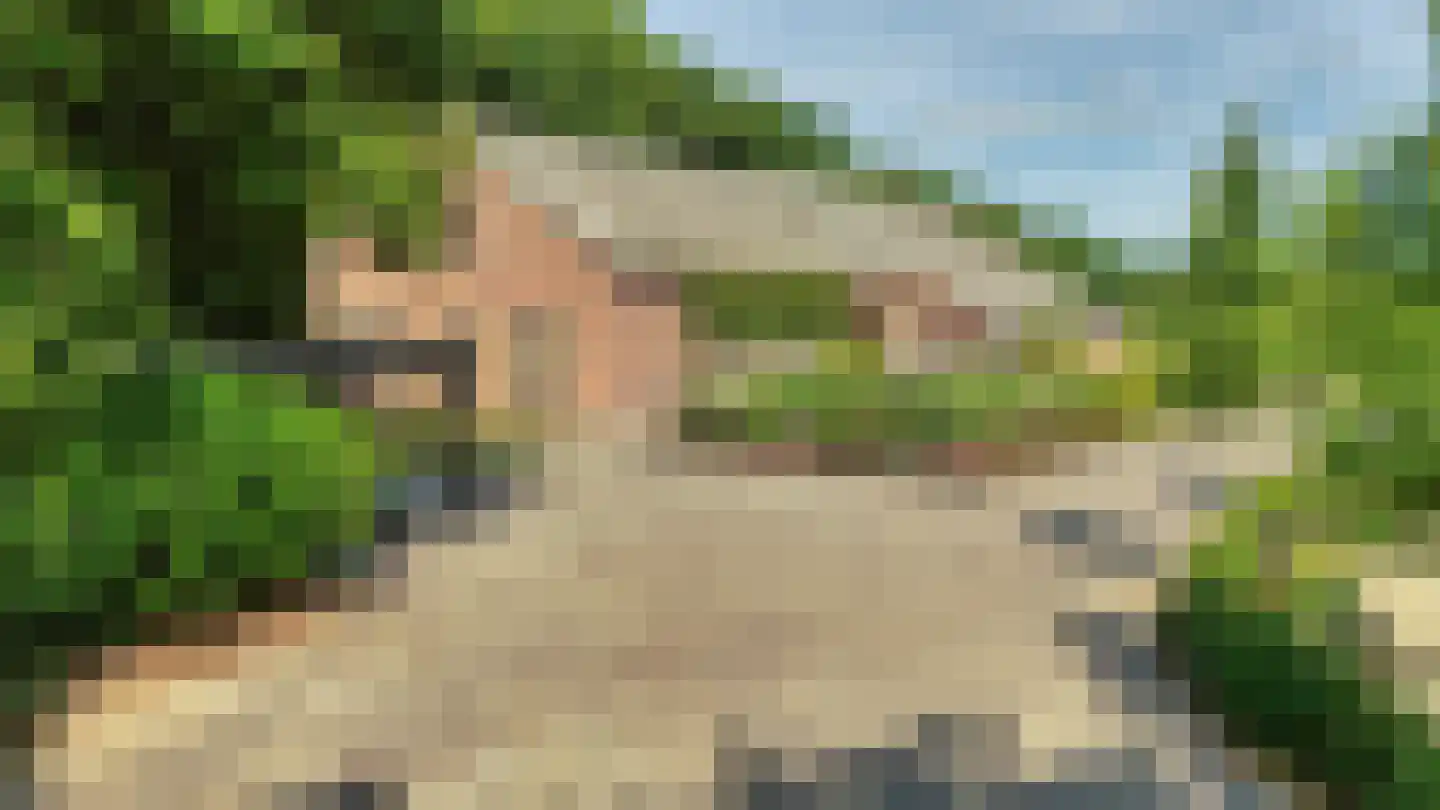 Rozegaarderweg 1 Hummelo thumbnail 74