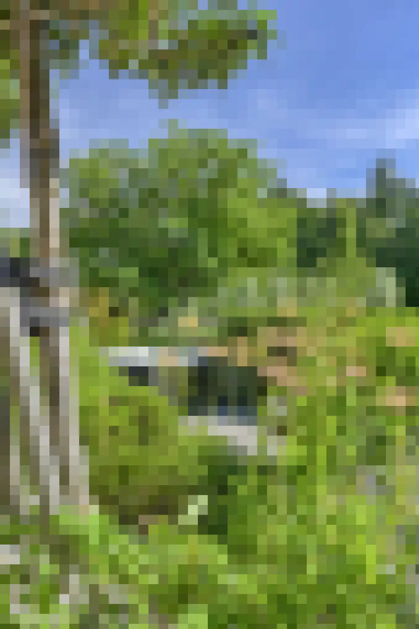 Rozegaarderweg 1 Hummelo thumbnail 78