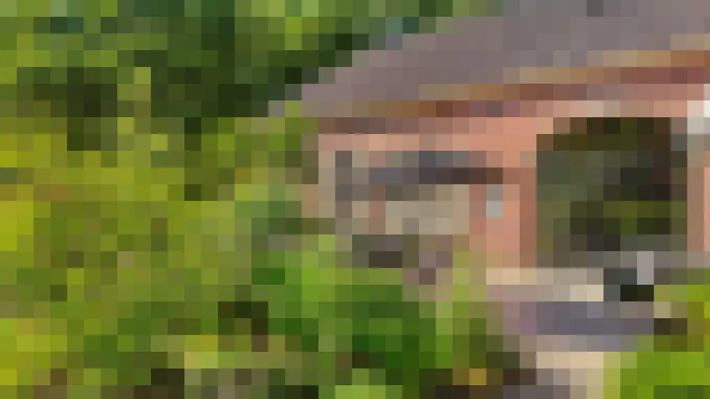 Rozegaarderweg 1 Hummelo thumbnail 82