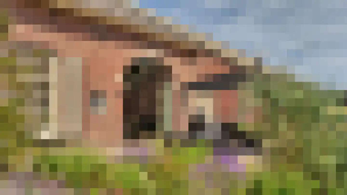 Rozegaarderweg 1 Hummelo thumbnail 84