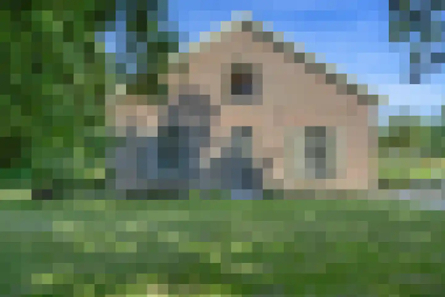 Rozegaarderweg 1 Hummelo thumbnail 87