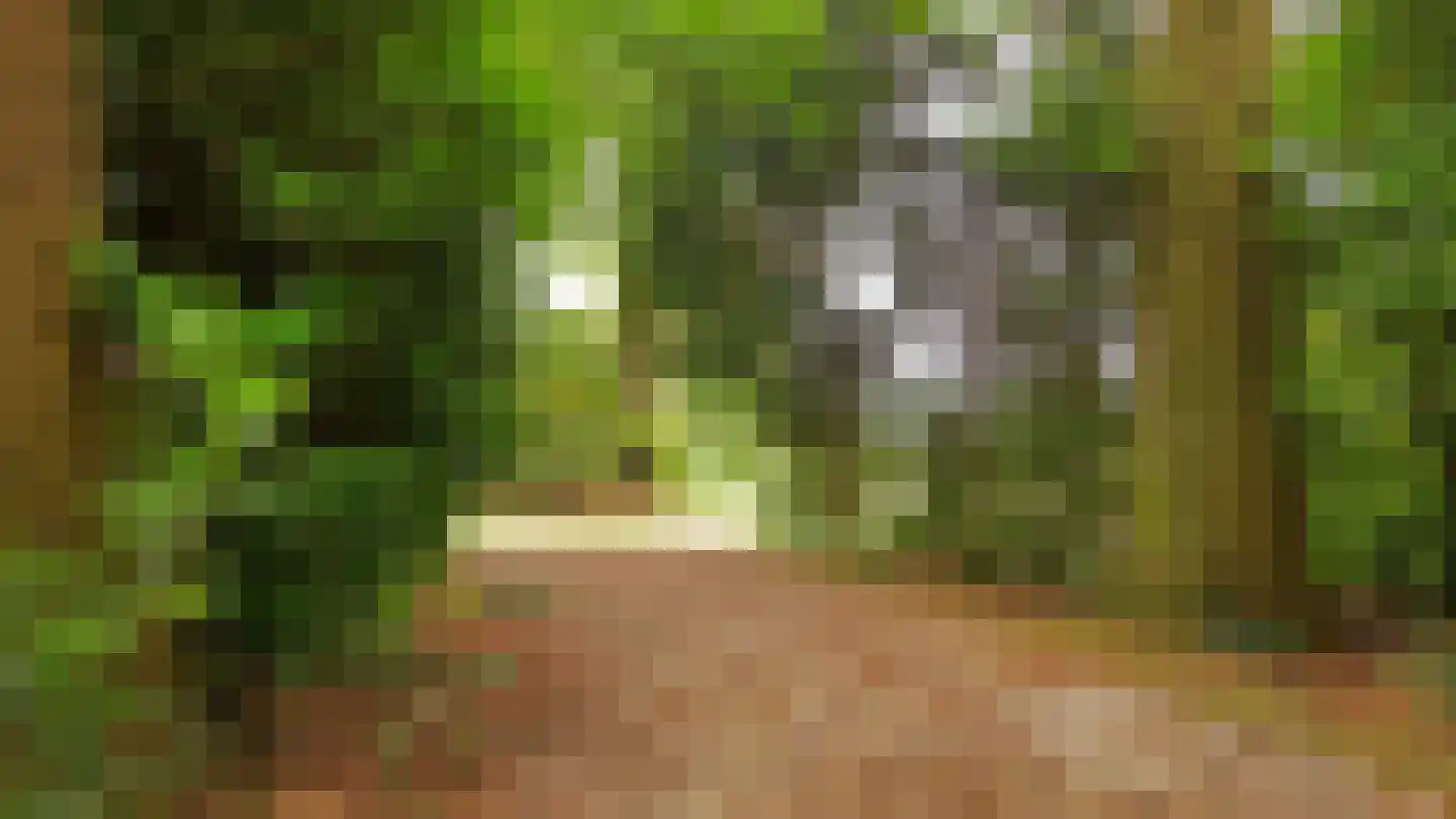 Rozegaarderweg 1 Hummelo thumbnail 93