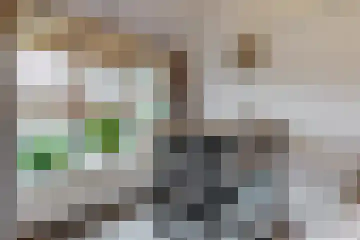 Rozeknop 21 Uitgeest thumbnail 10
