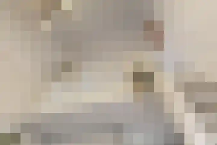 Rozeknop 21 Uitgeest thumbnail 11
