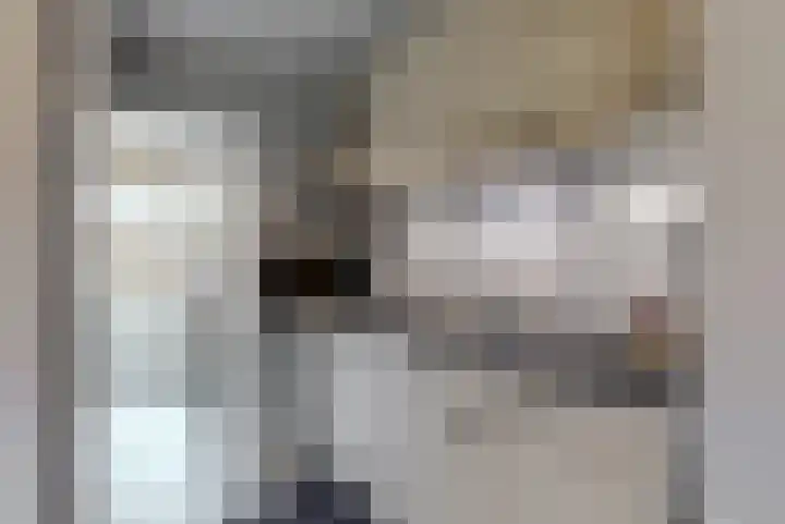 Rozeknop 21 Uitgeest thumbnail 12