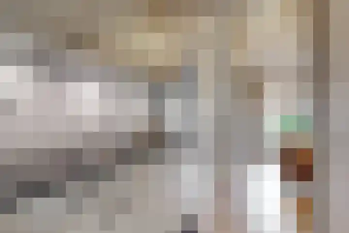 Rozeknop 21 Uitgeest thumbnail 13