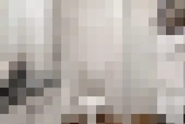 Rozeknop 21 Uitgeest thumbnail 14