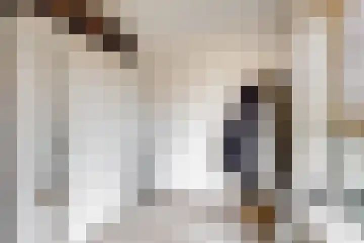 Rozeknop 21 Uitgeest thumbnail 16