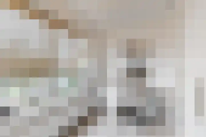 Rozeknop 21 Uitgeest thumbnail 17
