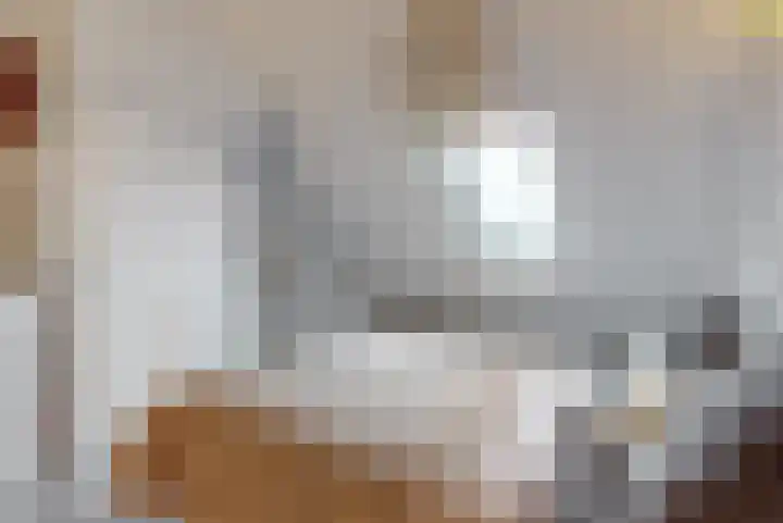 Rozeknop 21 Uitgeest thumbnail 18