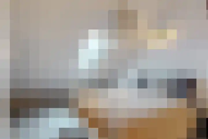 Rozeknop 21 Uitgeest thumbnail 19