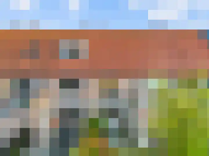 Rozeknop 21 Uitgeest thumbnail 22