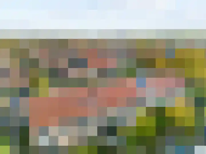 Rozeknop 21 Uitgeest thumbnail 26