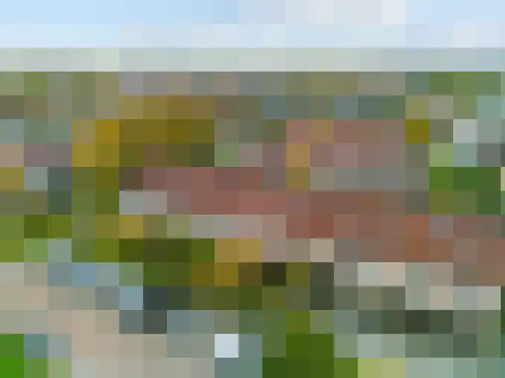 Rozeknop 21 Uitgeest thumbnail 27