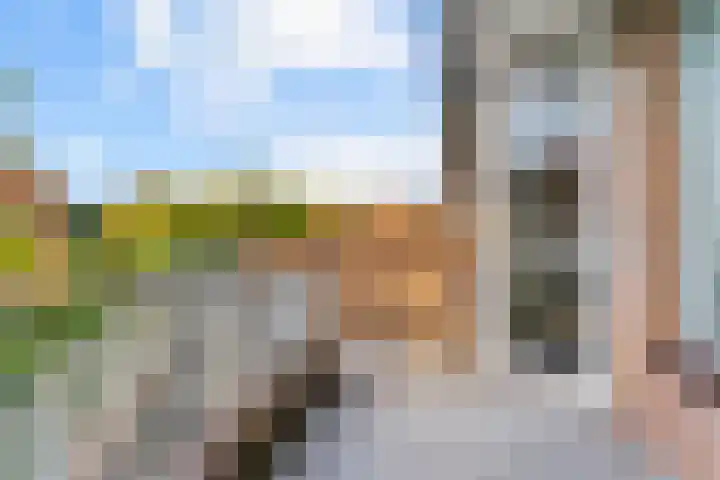 Rozeknop 21 Uitgeest thumbnail 4