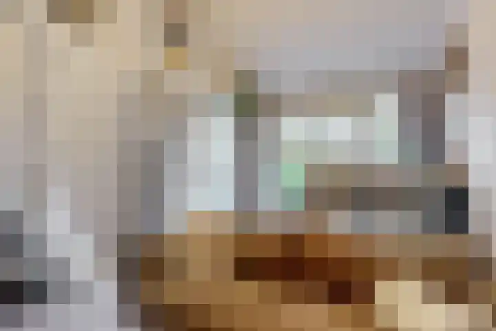 Rozeknop 21 Uitgeest thumbnail 8