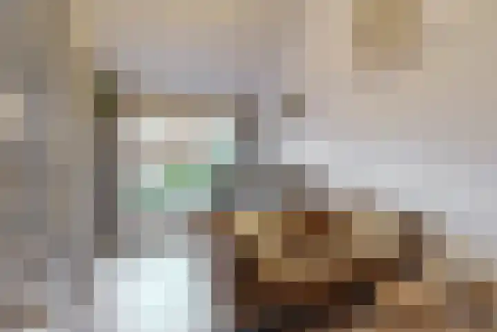 Rozeknop 21 Uitgeest thumbnail 9