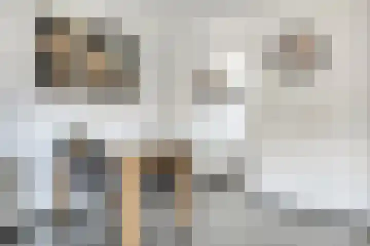 Rozelaar 10 Geffen thumbnail 12