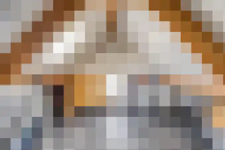 Rozelaar 10 Geffen thumbnail 21