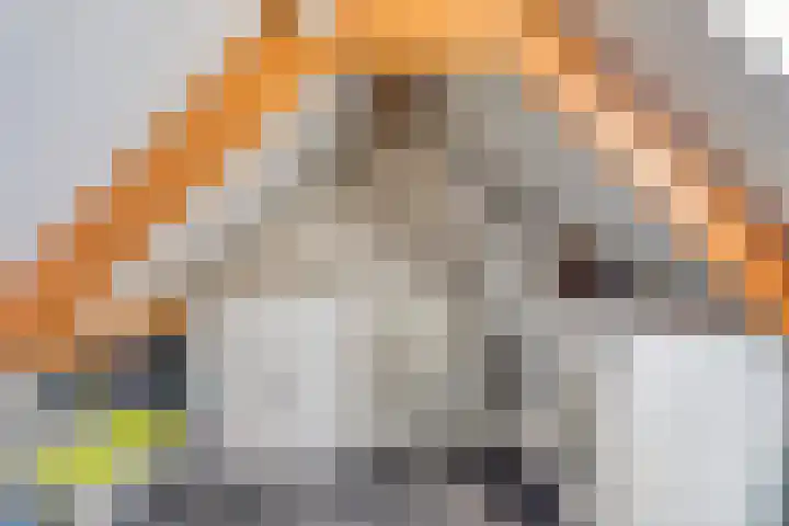 Rozelaar 10 Geffen thumbnail 22