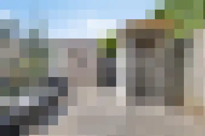 Rozelaar 10 Geffen thumbnail 23