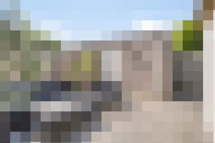 Rozelaar 10 Geffen thumbnail 24