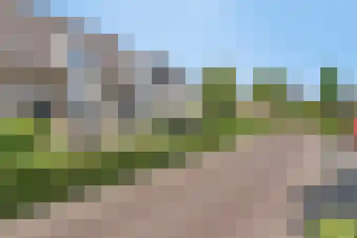 Rozelaar 10 Geffen thumbnail 30