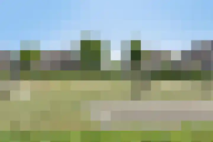 Rozelaar 10 Geffen thumbnail 31