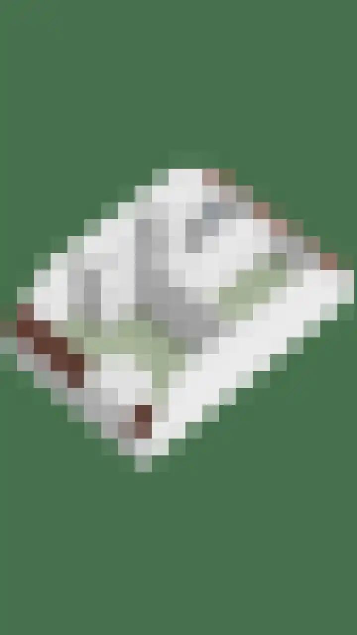 Rozelaar 10 Geffen thumbnail 37