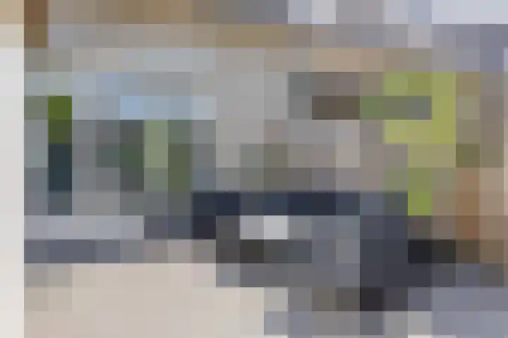 Rozelaar 10 Geffen thumbnail 5