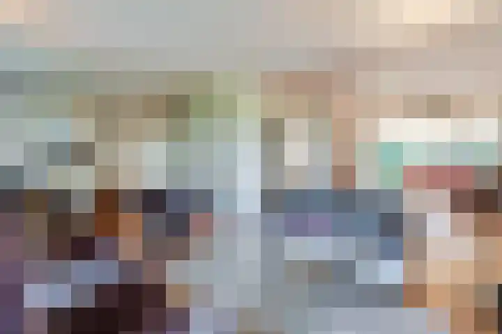 Rozelaar 12 Geldrop thumbnail 10