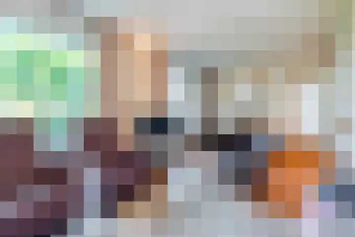 Rozelaar 12 Geldrop thumbnail 11