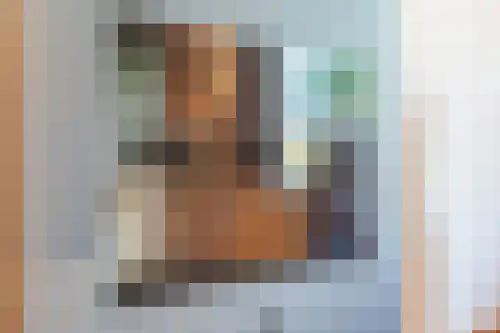Rozelaar 12 Geldrop thumbnail 12
