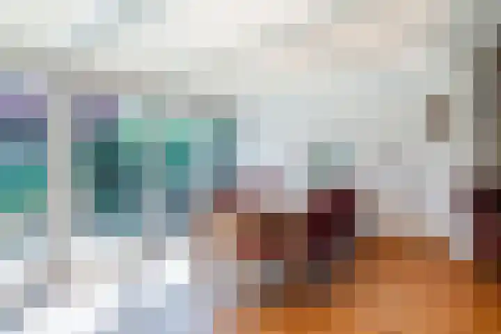 Rozelaar 12 Geldrop thumbnail 17