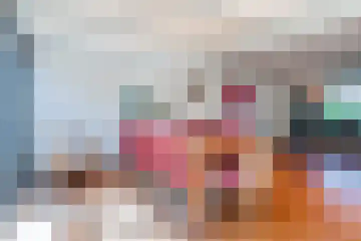 Rozelaar 12 Geldrop thumbnail 19