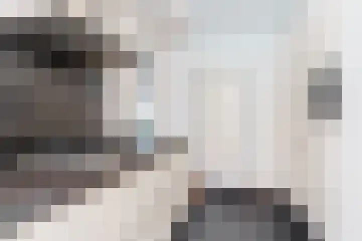 Rozelaar 12 Geldrop thumbnail 25