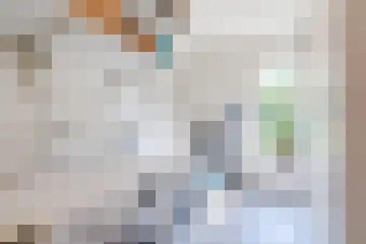 Rozelaar 12 Geldrop thumbnail 26