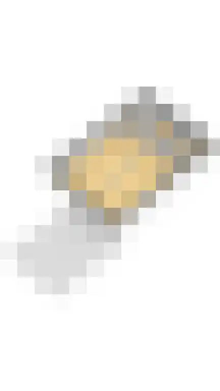 Rozelaar 12 Geldrop thumbnail 33