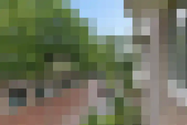 Rozelaar 12 Geldrop thumbnail 36