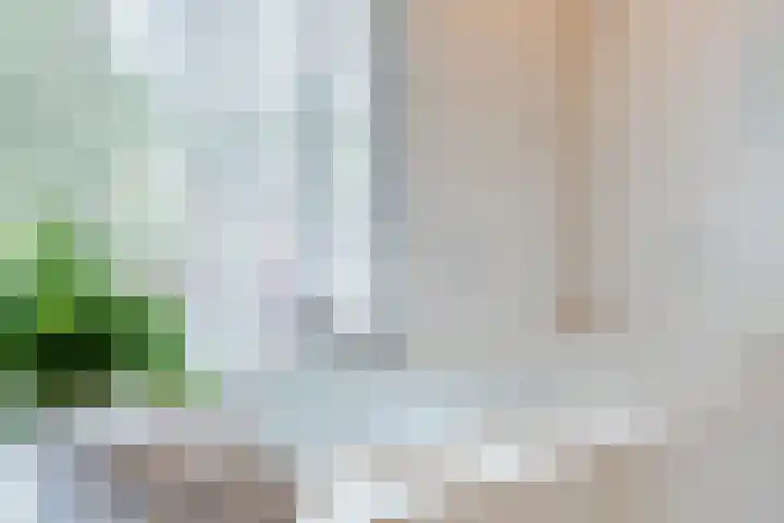 Rozelaar 12 Geldrop thumbnail 37